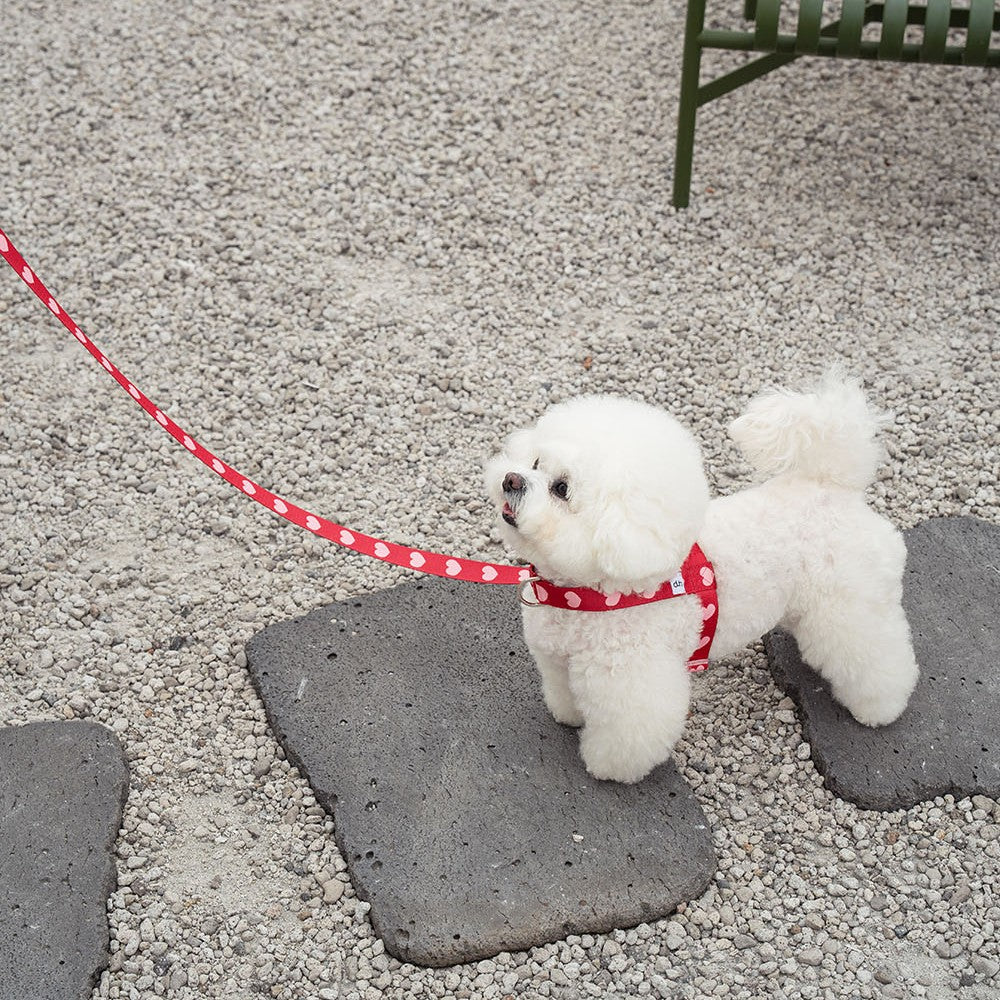 【予約】heart bongbong harness