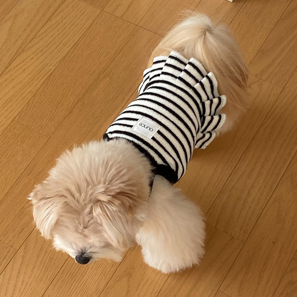 【予約】テリーストライプフリルクロップトップ