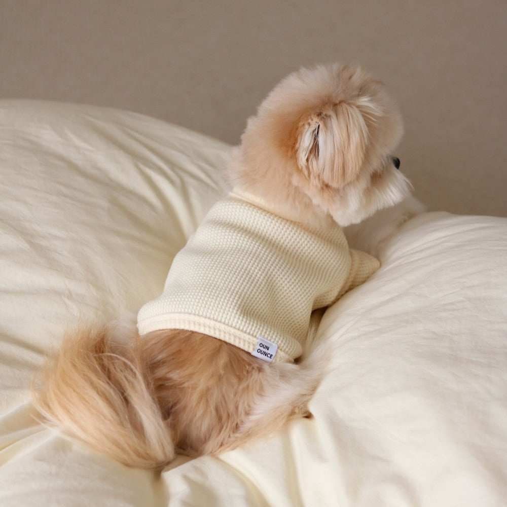 【予約】ワッフルセミクロップTシャツ