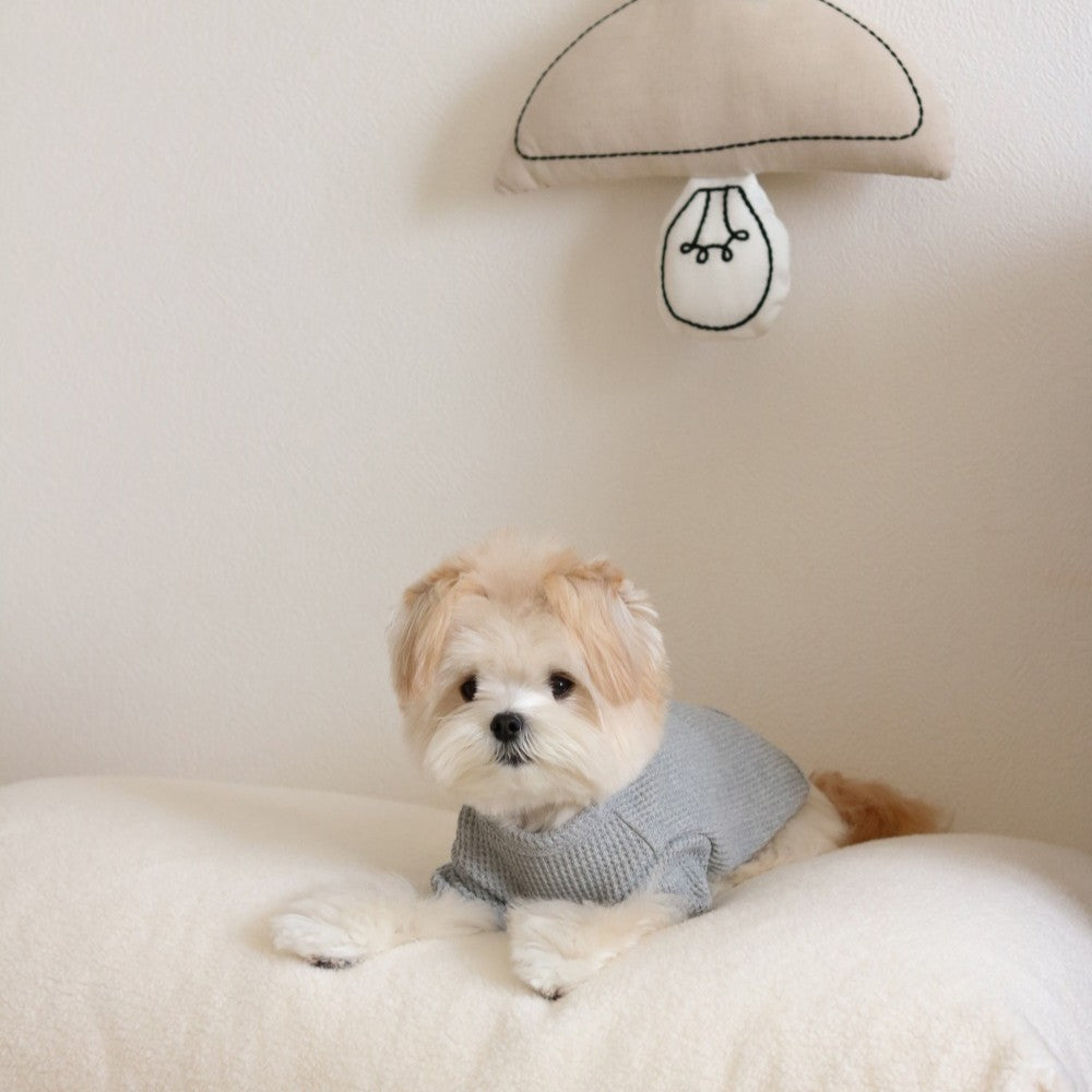 【予約】ワッフルセミクロップTシャツ