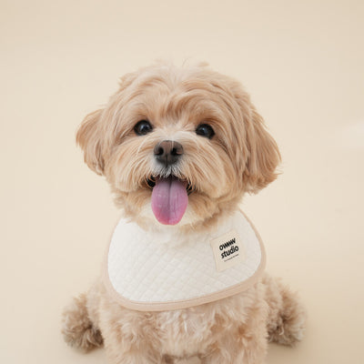 【予約】Organic Bib(ネーム刺繍可)