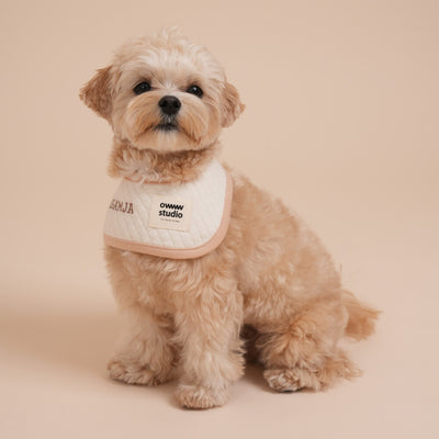 【予約】Organic Bib(ネーム刺繍可)