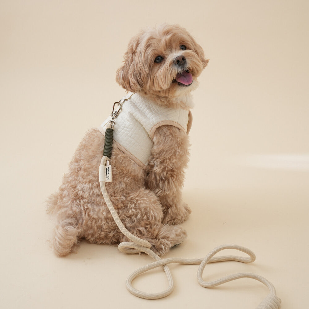 【予約】Organic Harness(ネーム刺繍可)
