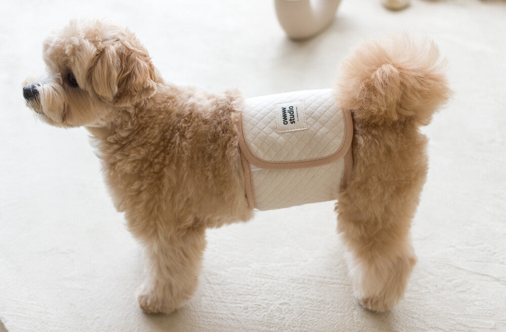 【予約】Organic Manner Belt