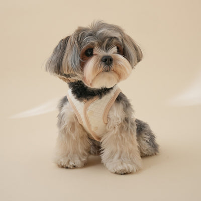 【予約】Organic Quilted Vest