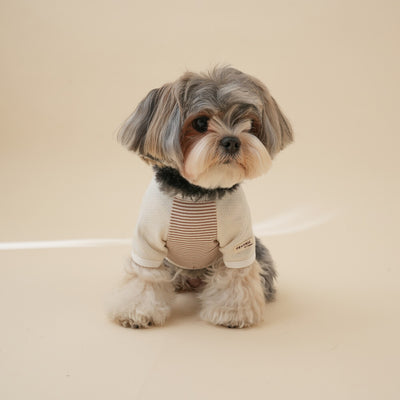 【一部即納】Organic Raglan Tee