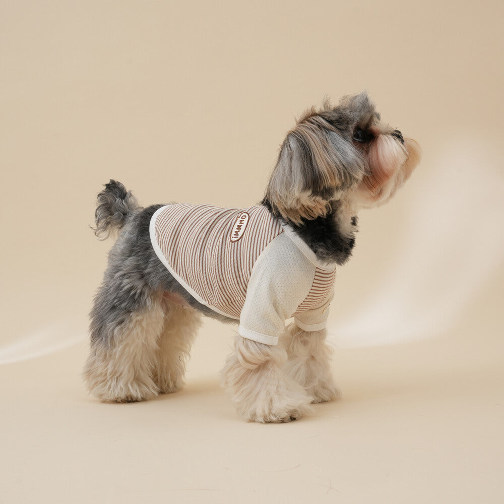 【予約】Organic Raglan Tee