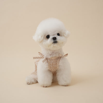 【予約】Organic Smocking Dress