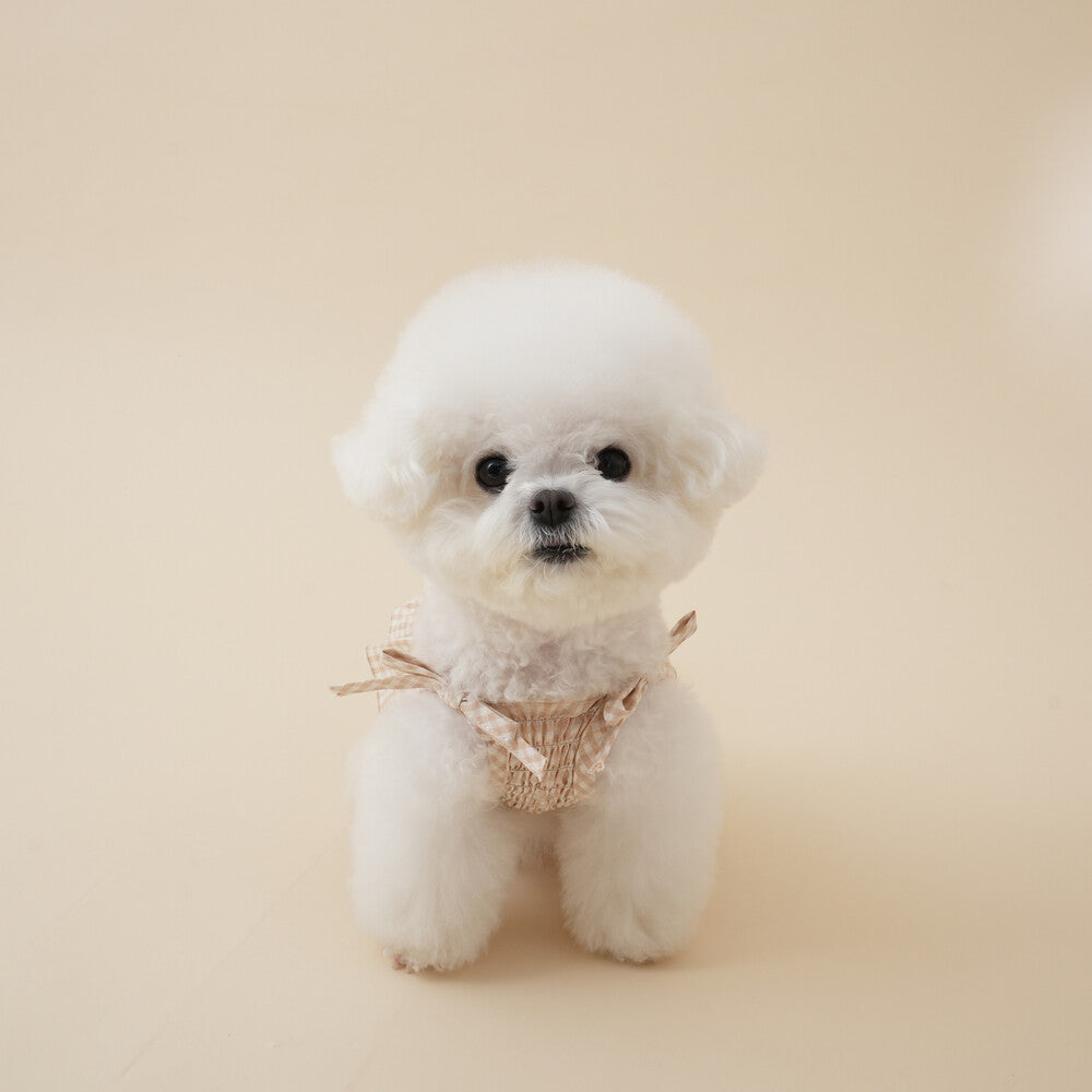 【予約】Organic Smocking Dress