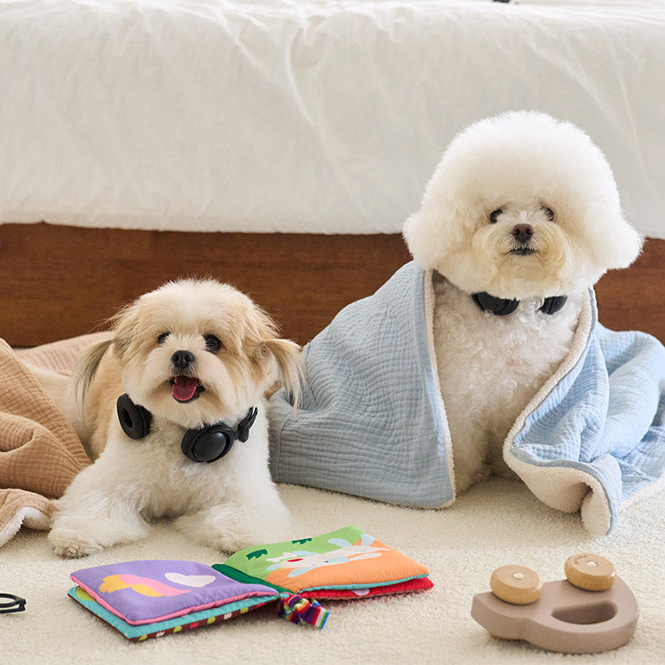 【予約】bebe pocket blanket