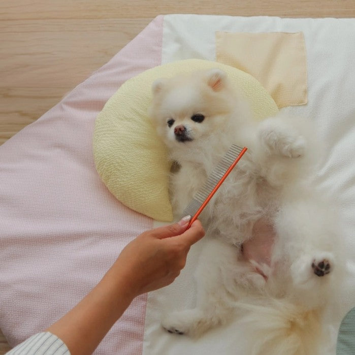 【予約】mini pillow