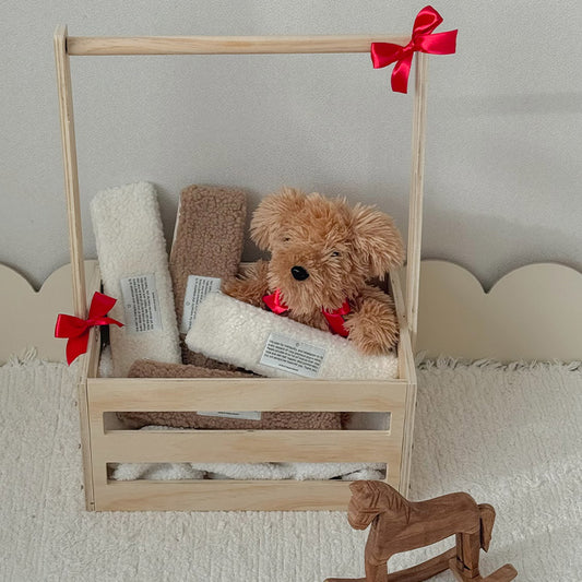 【予約】snow comb case