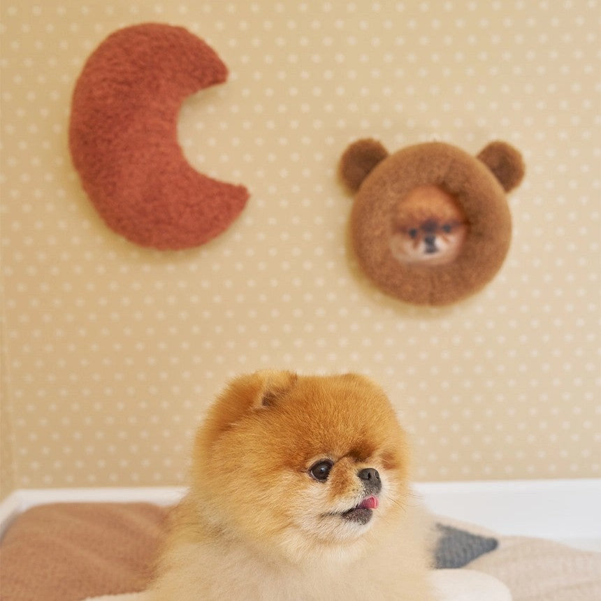 【予約】teddy snow frame(アクリルミラー別売り)