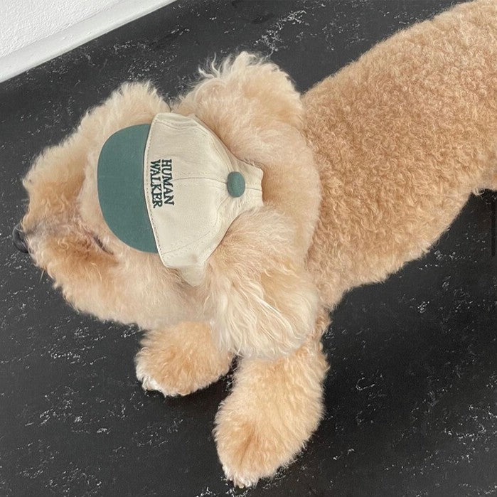 【予約】humanwalker ballcap (DOG)