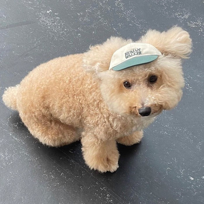 【予約】humanwalker ballcap (DOG)