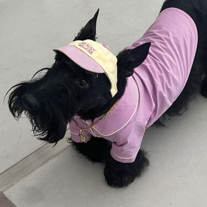 【予約】humanwalker ballcap (DOG)