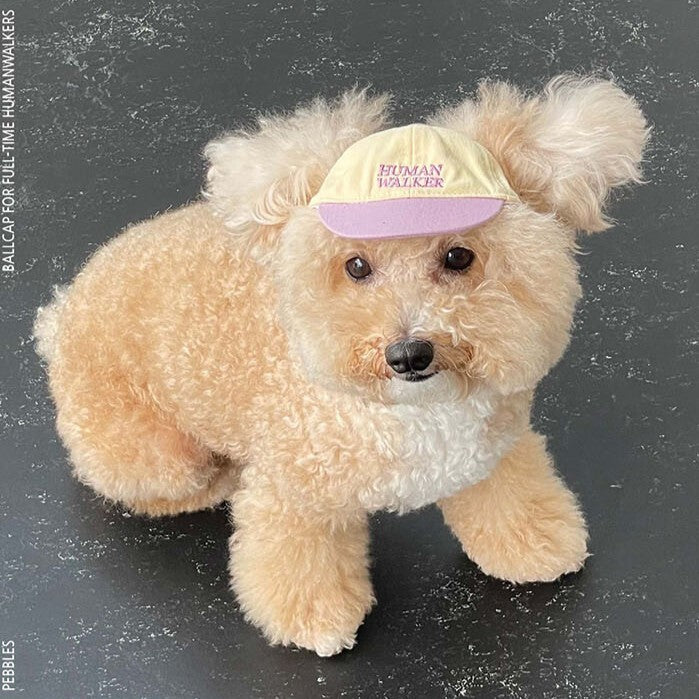 【予約】humanwalker ballcap (DOG)