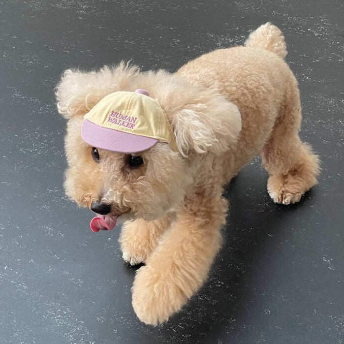 【予約】humanwalker ballcap (DOG)