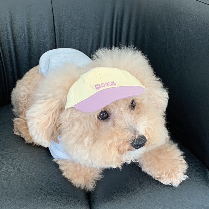 【予約】humanwalker ballcap (DOG)