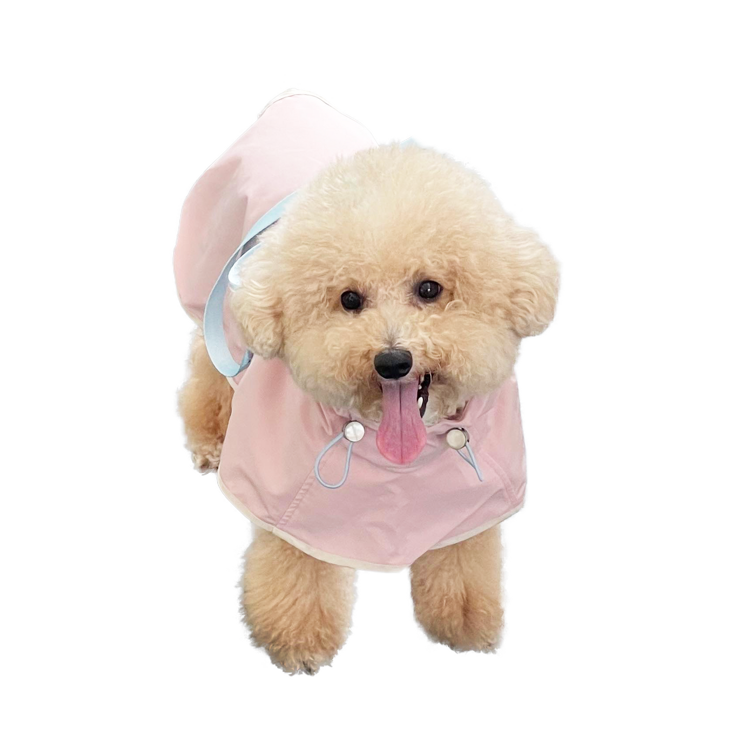 【予約】Rain-wind jacket