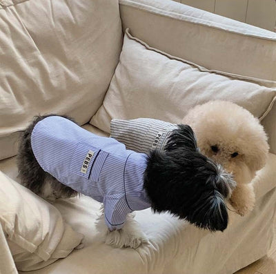 【予約】Striped shirt