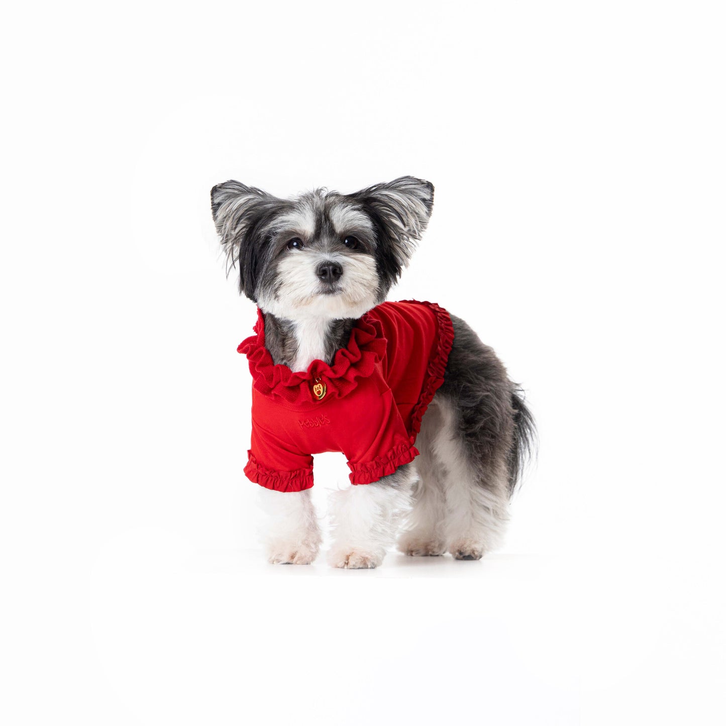 【予約】WARM FRILL-FRILL T