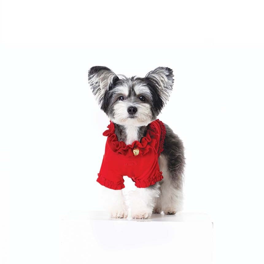 【予約】WARM FRILL-FRILL T