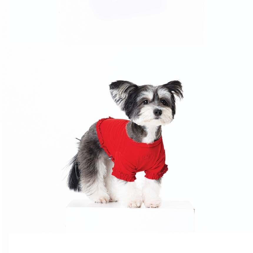 【予約】WARM FRILL-FRILL T