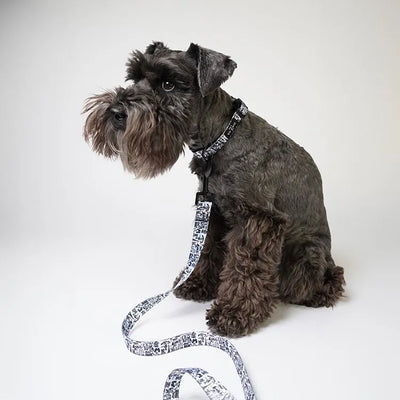 【予約】A DOG IN PARIS LEASH