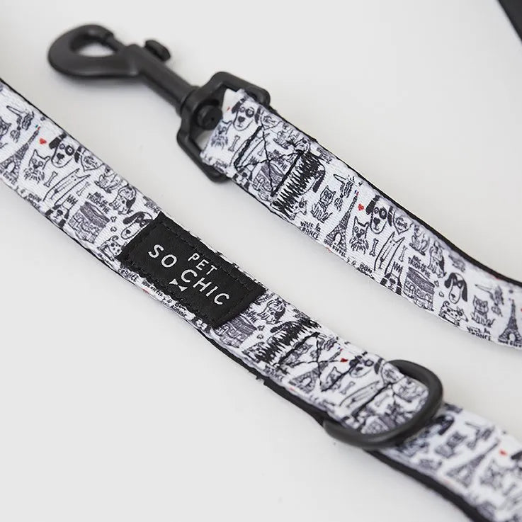 【予約】A DOG IN PARIS LEASH