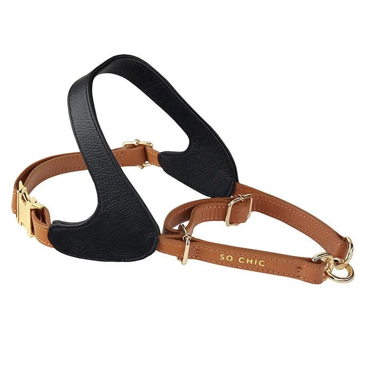 【予約】DOG HARNESS(BLACK & BROWN)