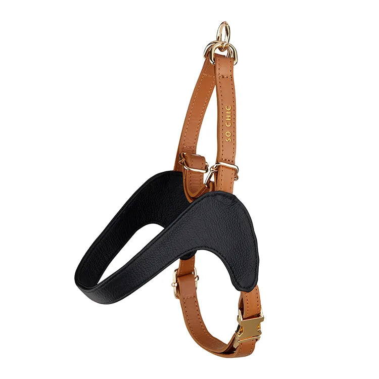【予約】DOG HARNESS(BLACK & BROWN)