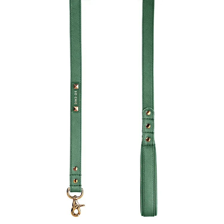 【予約】DOG LEASH