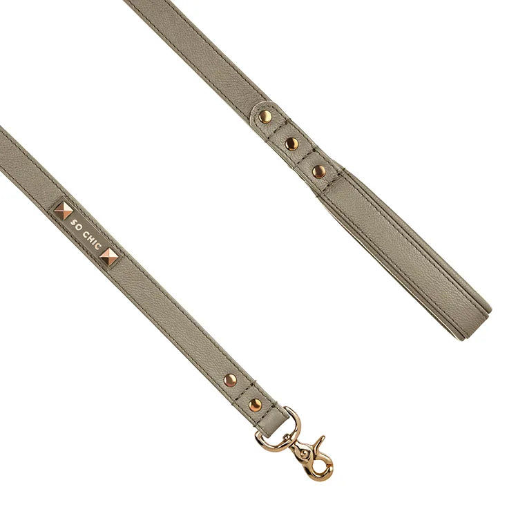 【予約】DOG LEASH