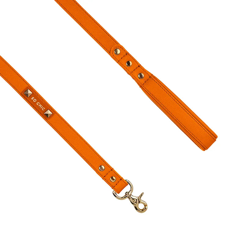 【予約】DOG LEASH