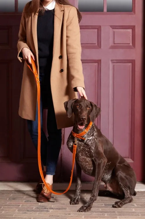 【予約】DOG LEASH