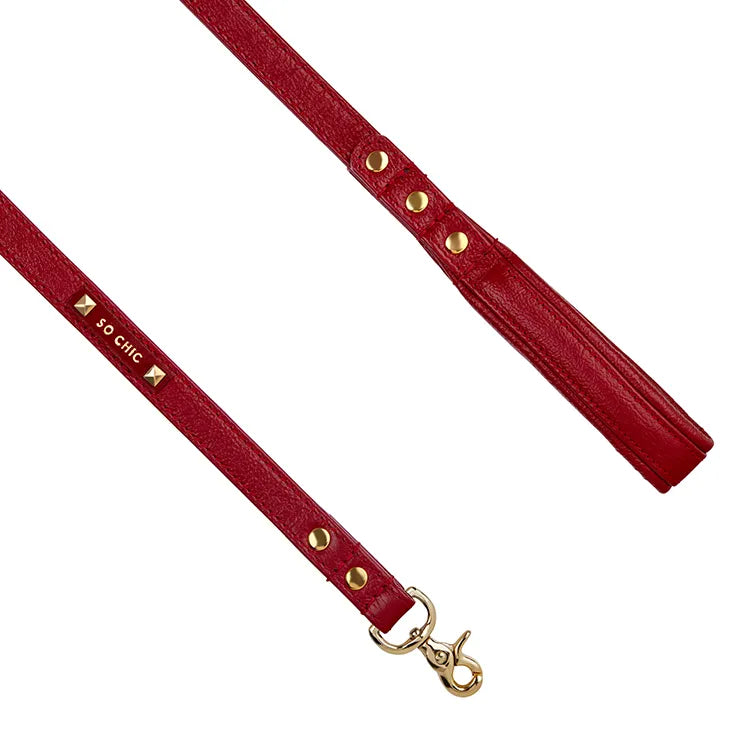 【予約】DOG LEASH