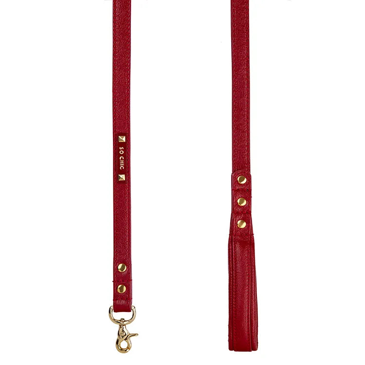 【予約】DOG LEASH