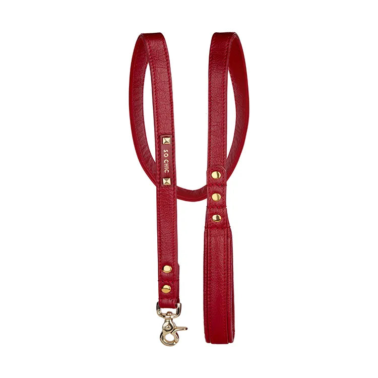 【予約】DOG LEASH