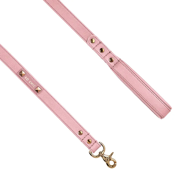 【予約】DOG LEASH