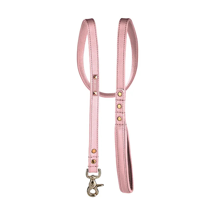 【予約】DOG LEASH