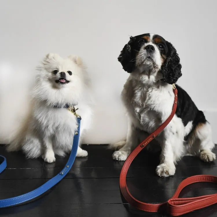 【予約】DOG LEASH