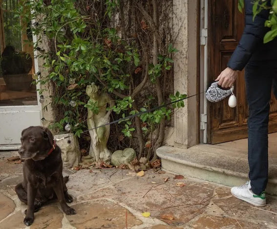 【予約】RETRACTABLE LEASH