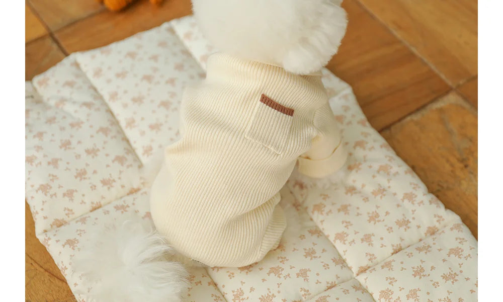 【予約】カラー ニット オールインワン