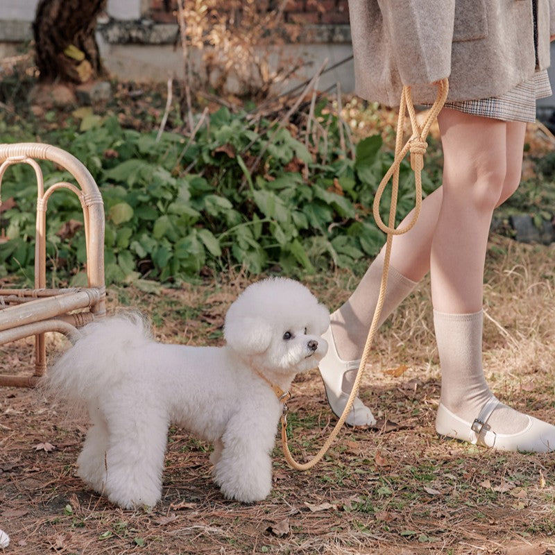 【予約】Rope leash classic - 1.8m(バナナ)