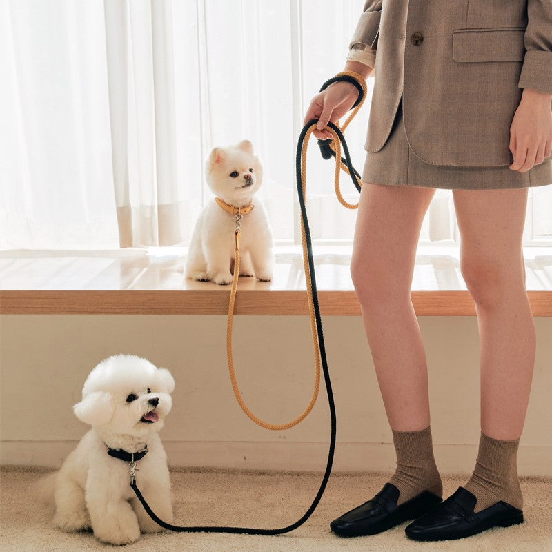 【予約】Rope leash classic - 1.8m(バナナ)