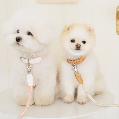 【一部即納】Rope collar (オートミール)