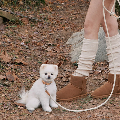 【予約】Rope leash classic - 1.8m(ベージュ)