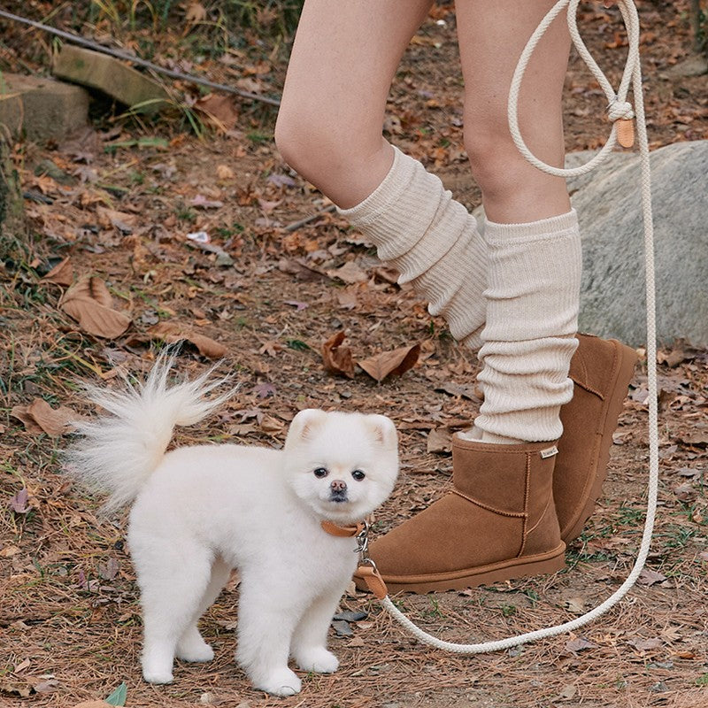 【予約】Rope leash classic - 1.8m(ベージュ)
