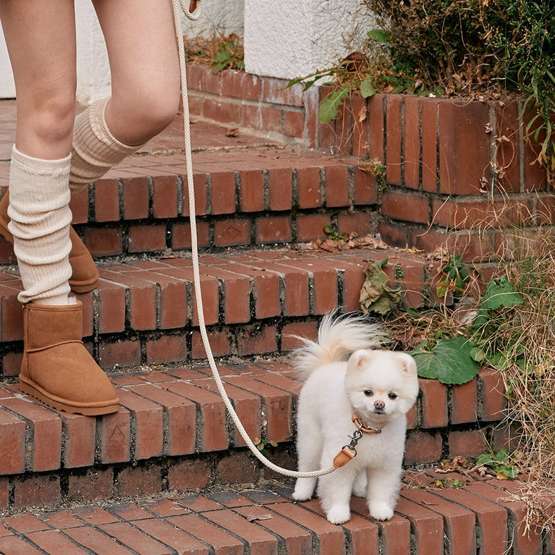 【予約】Rope leash classic - 1.8m(ベージュ)